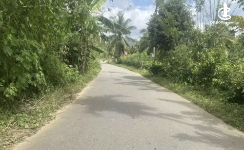 Land for Sale in Neluwa - Land for sale in neluwa