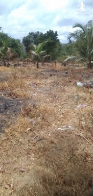 Land for Sale in Anamaduwa - Land for sale in anamaduwa