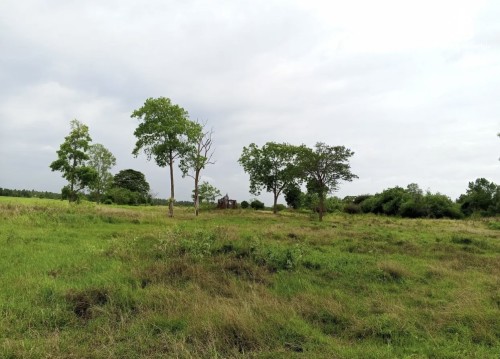 Land for Sale in Anamaduwa - Land for sale in anamaduwa