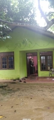 Land for Sale in Bulathsinhala - Land for sale in bulathsinhala