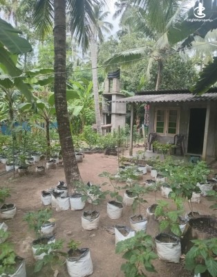 Land for Sale in Kurunegala - Land for sale in kurunagala