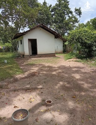 Land for Sale in Minuwangoda - Land for sale in minuwangoda