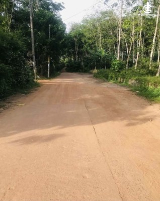 Land for Sale in Kalutara - Land for sale in kaluthara