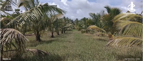 Land for Sale in Puttalam - Land for sale in puttalam