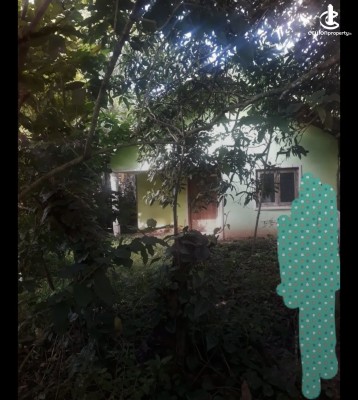 Land for Sale in Polgahawela - Land for sale in polgahawela