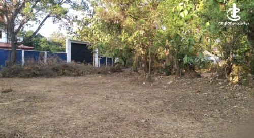 Land for Sale in Dambulla - Land for sale in dambulla