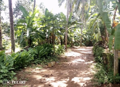 Land for Sale in Kosgama - Land for sale in kosgama