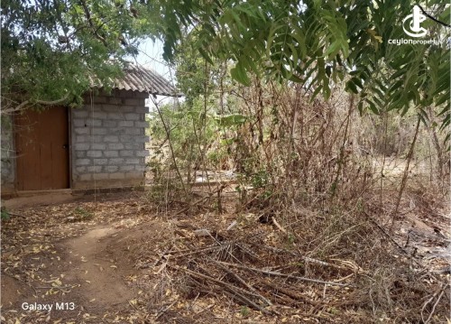 Land for Sale in Hambantota - Land for sale in hambantota