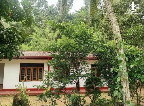 Land for Sale in Avissawella - Land for sale in awissawella