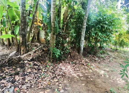 Land for Sale in Matara - Land for sale in matara