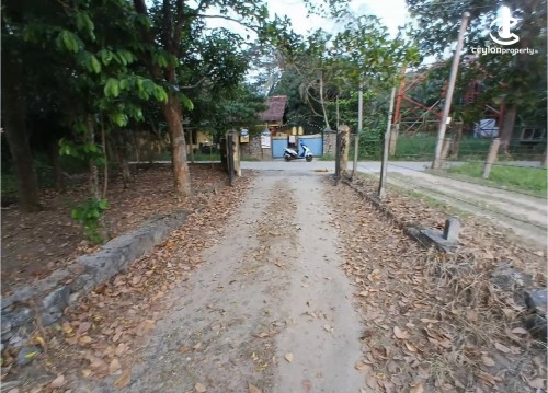 Land for Sale in Maho - Land for sale in daladagama