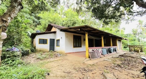 Land for Sale in Polgahawela - Land for sale in polgahawela