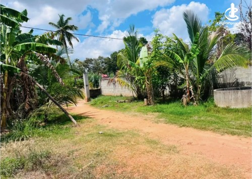 Land for Sale in Wariyapola - Land for sale in wariyapola