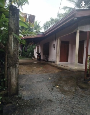 Land for Sale in Horana - Land for sale in moragaha hena