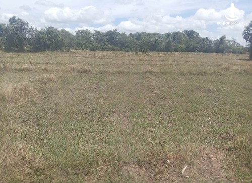 Land for Sale in Trincomalee - Land for sale in trincomalee