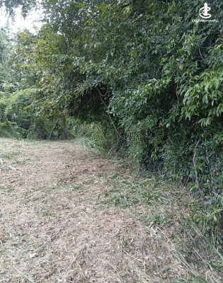 Land for Sale in Kurunegala - Land for sale in kurunagala