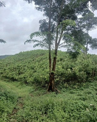 Land for Sale in Agalawatta - Land for sale in agalawatta
