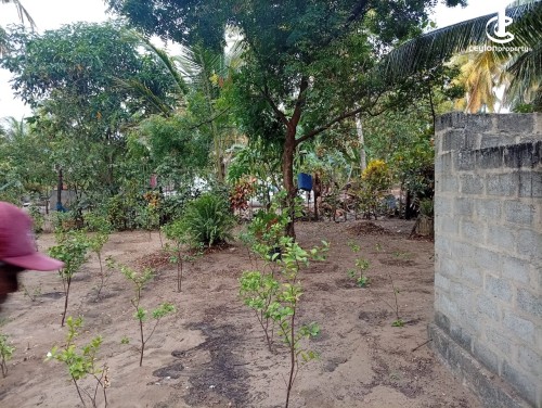Land for Sale in Puttalam - Land for sale in puttalam