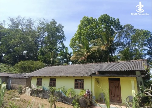 Land for Sale in Ratnapura - Land for sale in rathnapura