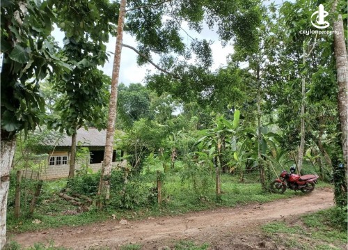 Land for Sale in Minuwangoda - Land for sale in minuwangoda