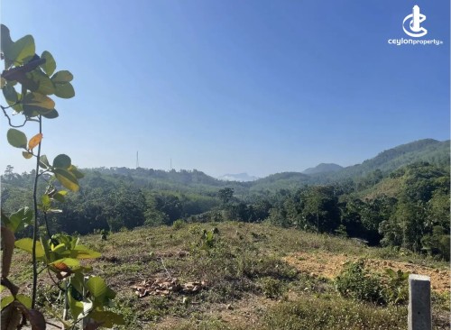 Land for Sale in Ratnapura - Land for sale in rathnapura