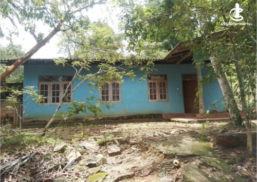 Land for Sale in Bulathsinhala - Land for sale in bulathsinhala