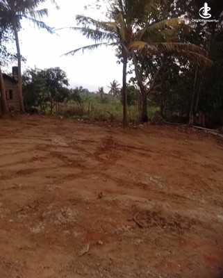Land for Sale in Anuradhapura - Land for sale in Anuradhapura