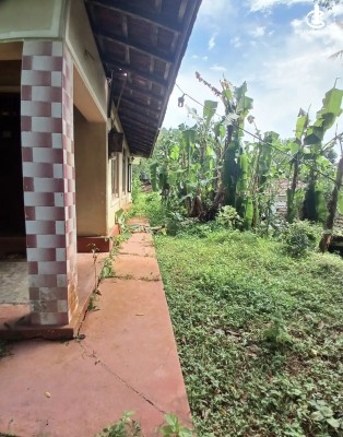 Land for Sale in Polgahawela - Land for sale in polgahawela
