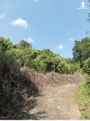 Land for Sale in Matale - Land for sale in matale