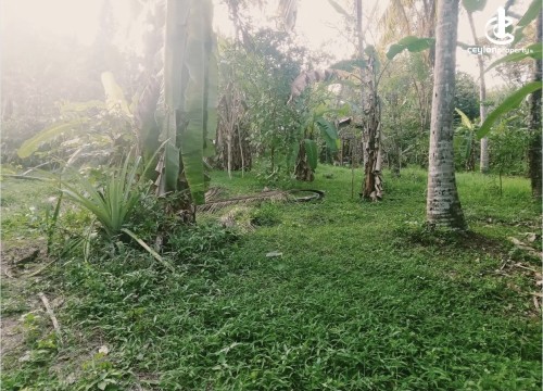 Land for Sale in Katunayake - Land for sale in katunayaka
