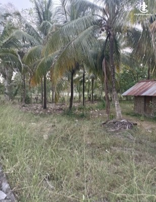 Land for Sale in Wariyapola - Land for sale in wariyapola
