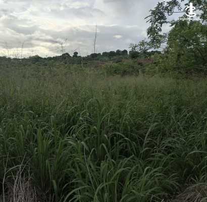 Land for Sale in Hambantota - Land for sale in hambantota