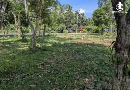 Land for Sale in Wariyapola - Land for sale in wariyapola