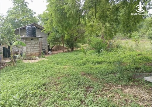 Land for Sale in Thanamalwila - Land for sale in thanamalwila
