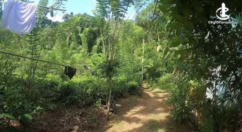 Land for Sale in Ratnapura - Land for sale in ingiriya