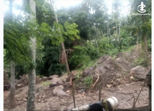Land for Sale in Matale - Land for sale in matale