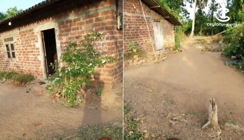 Land for Sale in Anuradhapura - Land for sale in Anuradapura