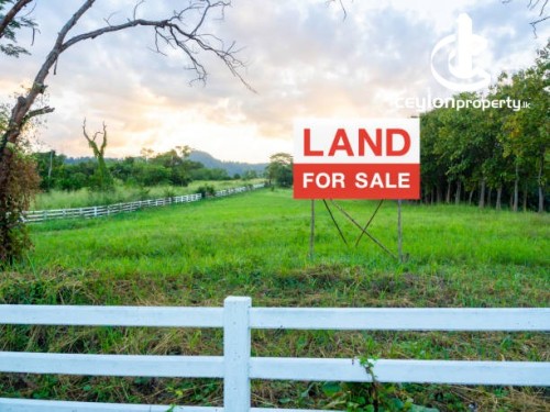 Land for Sale in Gampaha - Land for sale in gampaha