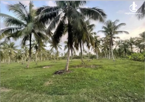 Land for Sale in Weeraketiya - Land for sale in Weeraketiya