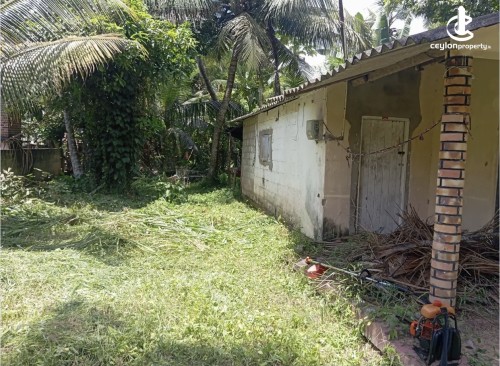 Land for sale in Udugampola