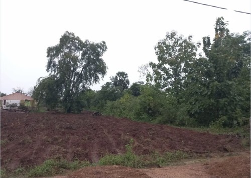 Land for Sale in Puttalam - Land for Sale in Puttalam