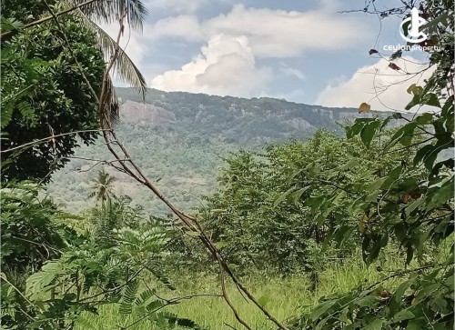 Land for Sale in Ibbagamuwa - Land for Sale in Ibbagamuwa