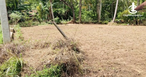 Land for Sale in Ibbagamuwa - Land for sale in Ibbagamuwa
