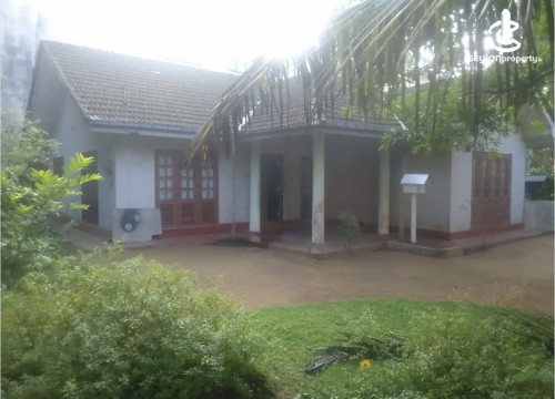 Land for Sale in Ingiriya - Land for sale in ingiriya