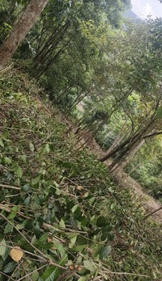 Land for Sale in Yatiyantota - Land for sale in yatiyantota
