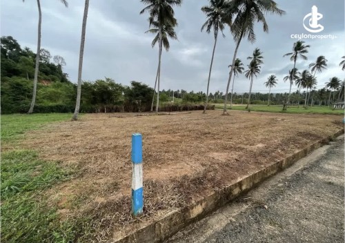 Land for Sale in Narammala - Land for Sale in Narammala
