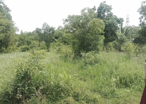 Land for Sale in Anuradhapura - Land for sale in Anuradhapura