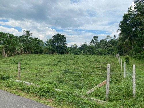 Land for Sale in Horana - Land for Sale in Horana