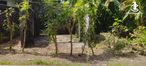Land for Sale in Thalawathugoda - Land for Sale in Thalawathugoda