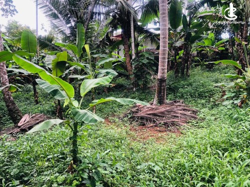 Land for Sale in Gampaha - Land for Sale in Gampha